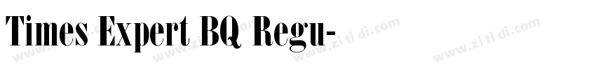 Times Expert BQ Regu字体转换